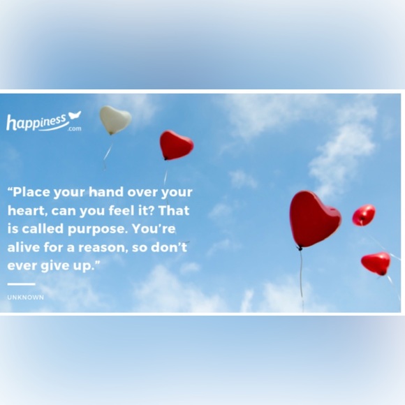 Meet your Posher, Lori - Picture 5 of 9